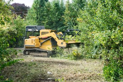 Acreage Clearing in Atlanta, GA