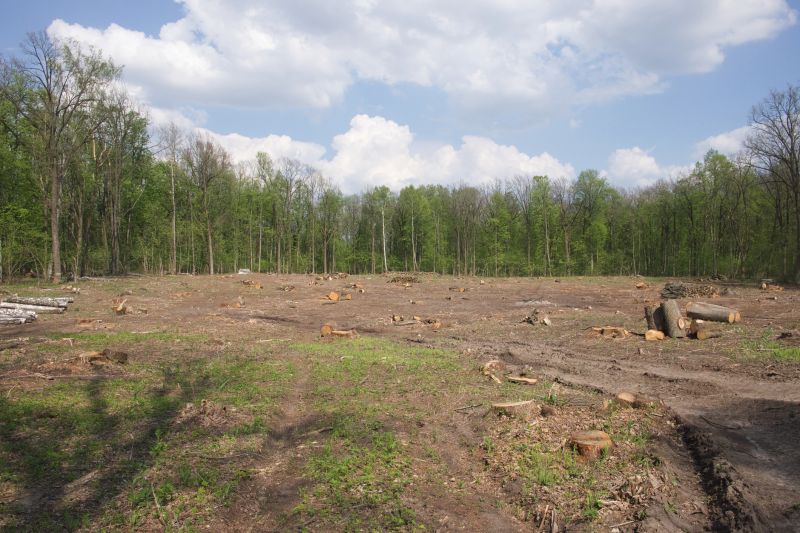 Farm Clearing in Katy, TX